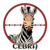 Cebra