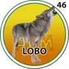 Lobo