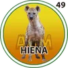 Hiena