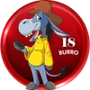 Burro
