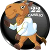 Camello
