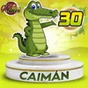 Caiman