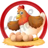 Gallina