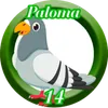 Paloma