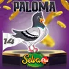 Paloma