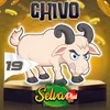 Chivo