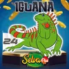 Iguana